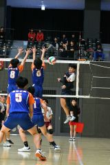 白樺学園男子Ｖ、帯南商女子連覇　バレーボール春季高校リーグ大会 5