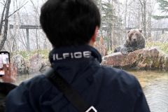 ガラス越しにヒグマを見学する来場者（２６日午前１１時半ごろ、須貝拓也撮影）