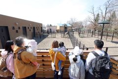 キリンを観察する来園者ら（助川かおる通信員撮影）