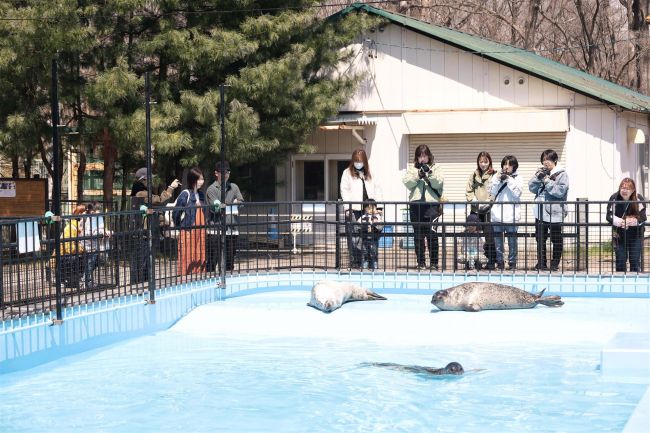 【写真】ＧＷ初日、夏期開園スタートの動物園もにぎわう