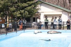 ＧＷ初日、夏期開園スタートの動物園もにぎわう