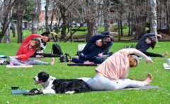 開花前の桜の下で「Ｓａｋｕｒａ　Ｙｏｇａ」　緑ヶ丘公園 11