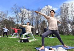 開花前の桜の下で「Ｓａｋｕｒａ　Ｙｏｇａ」　緑ヶ丘公園