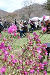 ツツジを背景に義経鍋を味わう人々