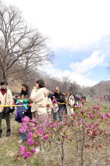 義経鍋には長蛇の列