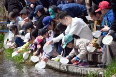 一斉に稚魚を放流する親子連れら（２７日午前１０時１５分ごろ）