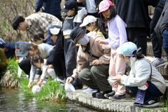 稚魚を放流する親子連れら（２７日午前１０時１５分ごろ）