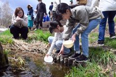 稚魚に傷が付かないよう、慎重に放流する子どもたち（２７日午前１０時２５分ごろ）