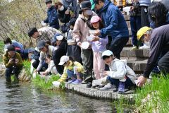稚魚９６００匹「帰ってきてね」　売買川サケのふるさと公園で市民放流祭