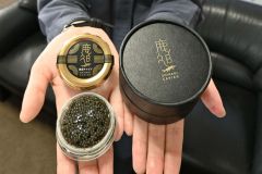 待望のキャビア１１年がかりで商品化　鹿追バイオガスプラントで養殖
