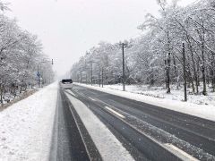 雪景色となった国道２３６号天馬街道（広尾町上トヨイ基線、２９日午前１０時２０分ごろ）