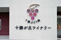 ブドウのイラストと頭文字の「Ｔ」をあしらったシンボルマーク