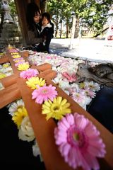 色鮮やかな「花手水」を楽しむ親子連れ（１日、須貝拓也撮影）