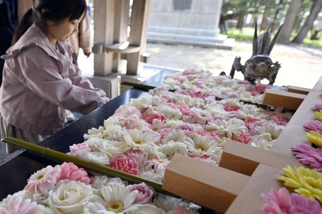 【写真】色とりどり「花手水」始まる 帯廣神社