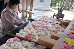 色とりどり「花手水」始まる　帯廣神社