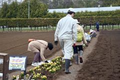 帯広農高生が手塩の花苗、住民に人気 生徒ら接客し販売会 5