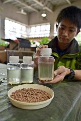 十勝池のアオコ浄化に向け生物への影響調査始まる 2