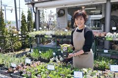 スカビオサ（５５０円）をおすすめするグリーンギャラリー華染の店員