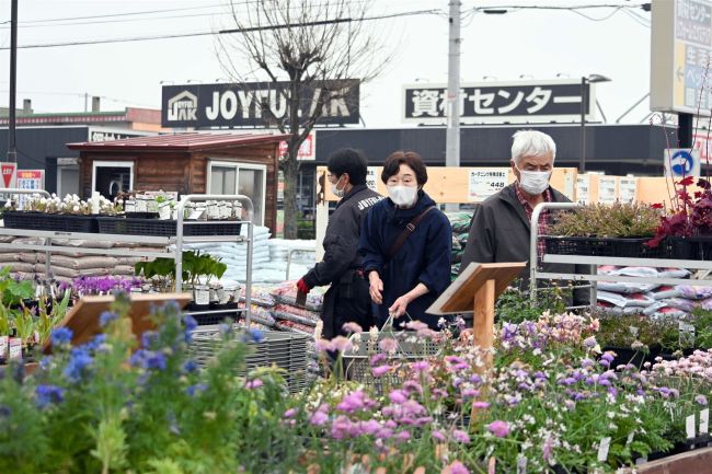 【写真】ガーデニングシーズン到来、物価高で今年は野菜苗人気