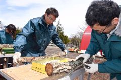 植菌作業を行う帯開建の職員ら