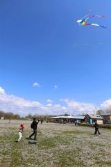 快晴の中、たこを揚げる親子連れら（５日午前１０時２０分ごろ、助川かおる通信員撮影）