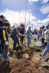 エゾヤマザクラの植樹作業に汗を流す参加者ら