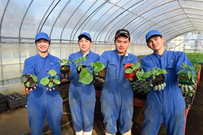 １６日に野菜苗販売会　更別農業高校