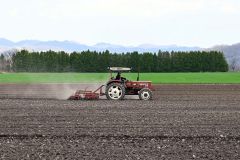 相棒のトラクターで整地作業を進める河野さん