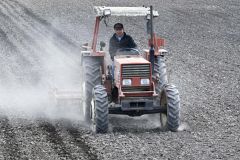 相棒のトラクターで整地作業を進める河野さん