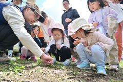 森のおさんぽでどんぐりや木の芽を発見する子どもたち