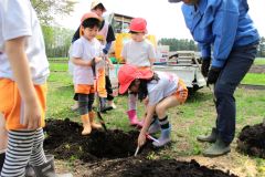 園庭に植樹するための穴を掘る園児ら