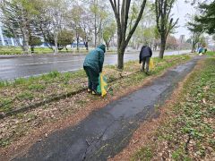町内で清掃奉仕に励む音更建協の会員ら