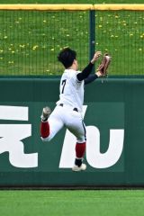 【準々決勝・帯大谷―帯三条】帯大谷は５回無死、左翼を守る工藤聖真が頭上を抜けそうな飛球を背走しながら好捕する（須貝拓也撮影）