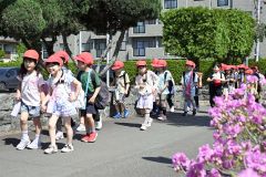 初めての遠足で歩道を元気に歩く柏小１年の児童（１６日午前９時１０分ごろ、須貝拓也撮影）