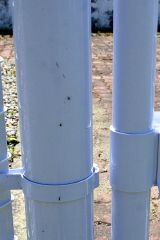 浦幌町内でマイマイガの幼虫多数　役場に駆除の問い合わせも 4