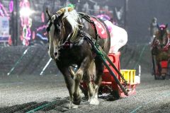 悲願の重賞初勝利を飾ったカフカ（ばんえい十勝提供）