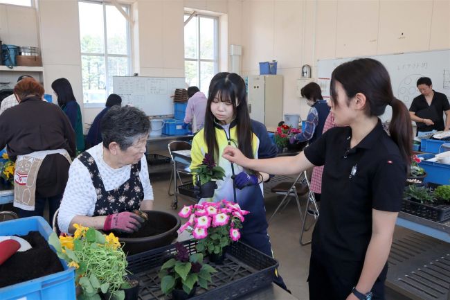 主婦らが寄せ植えを体験　音更高校で開放講座