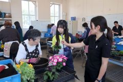 主婦らが寄せ植えを体験　音更高校で開放講座