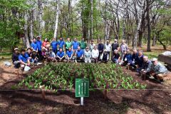 鈴蘭公園南側にスズランを移植した音更ＬＣと音更ＲＣのメンバーら
