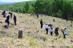 山の斜面に苗木を植える参加者