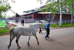 馬生産育成教育棟報道内覧会（金野和彦撮影）