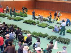 体育館にずらりと並んだ野菜苗を次々と買い求める人たち