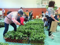 体育館にずらりと並んだ野菜苗を次々と買い求める人たち