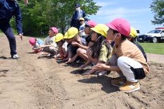ひまわりの種を花壇に植える子どもたち