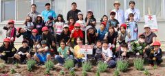 「博愛の花」３００株植栽　池田小２年生が日赤の花壇造り 2