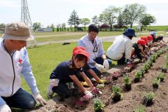 花壇に花苗を植える児童