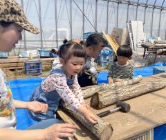 植菌打ちを体験する子どもたち