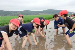 児童と園児が田植え体験　池田