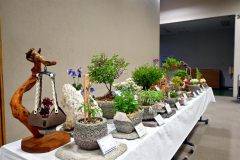 自製の鉢に植えている出品作