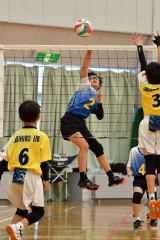 稲田プリンス男子、下音更ウィングス女子Ｖ、混合は豊頃ランバーズ　全日本小学生バレー帯広地区予選 3